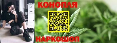 spice Новозыбков