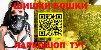 spice Новозыбков