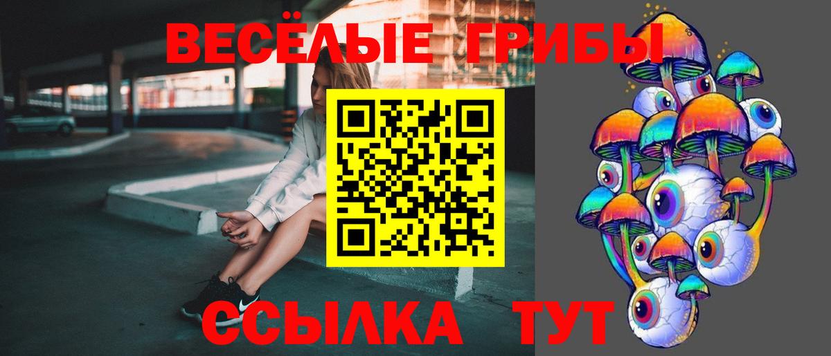 где найти наркотики  Вход с VPN  Псилоцибиновые грибы Cubensis  Уссурийск  Псилоцибиновые грибы мухоморы 